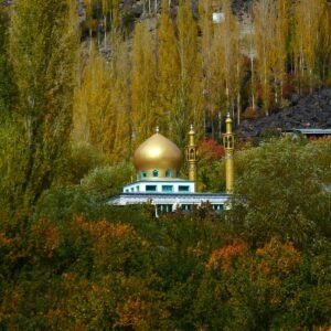 A building with a golden dome in the middle of a forest