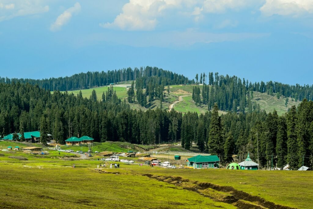 green trees and green grass field during daytime