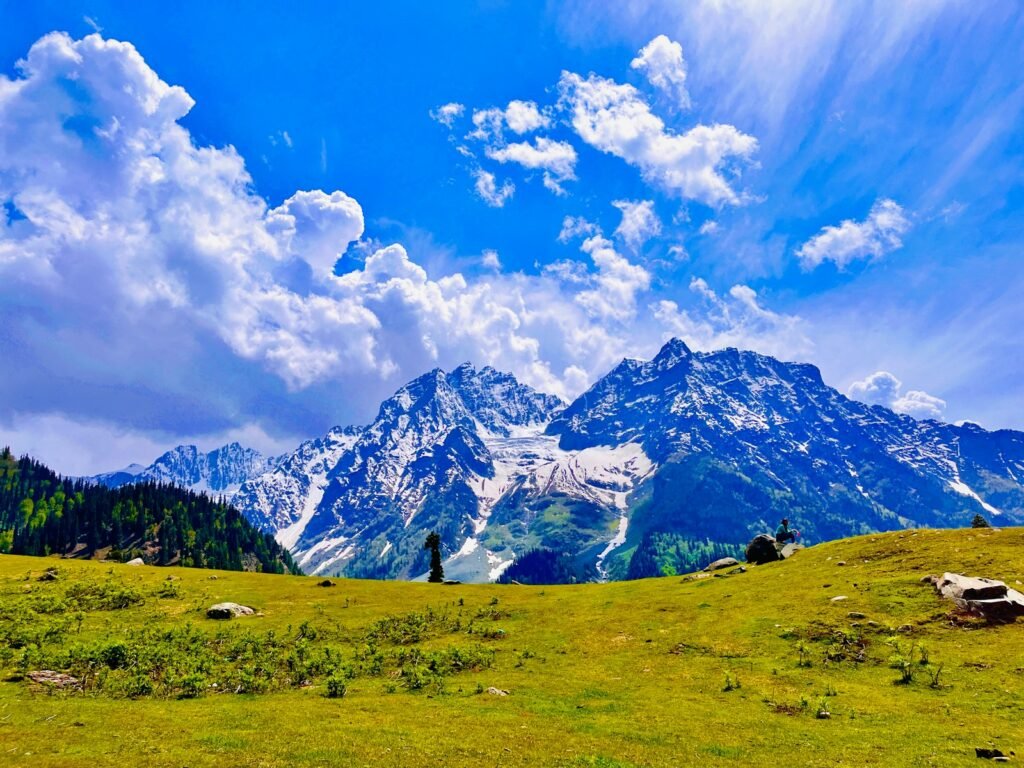 a grassy field with mountains in the background
