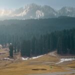 a road in the middle of a field with a mountain in the background