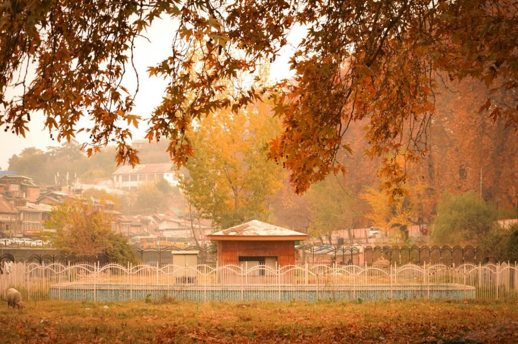 Explore the tranquil beauty of a colorful autumn scene in Srinagar with vibrant foliage.