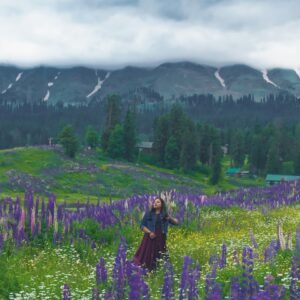 a woman standing in a field of purple flowers